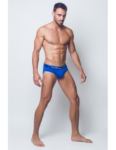 Bluebird Briefs