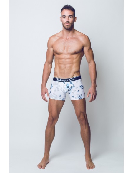 Fern Print Trunks