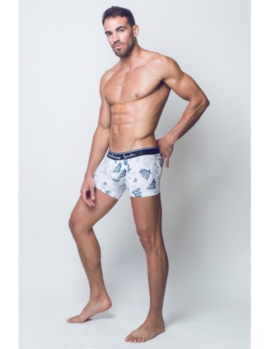 Fern Print Trunks Fern Print Trunks