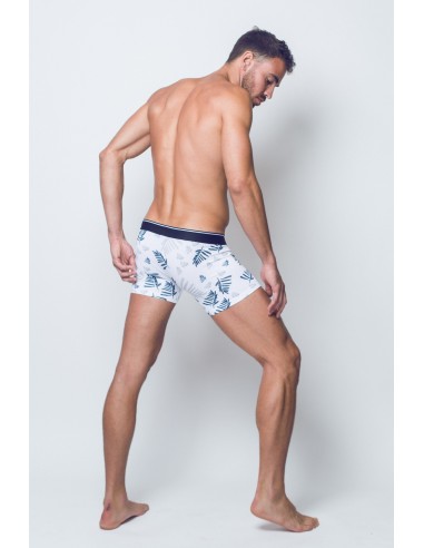 Fern Print Trunks Fern Print Trunks