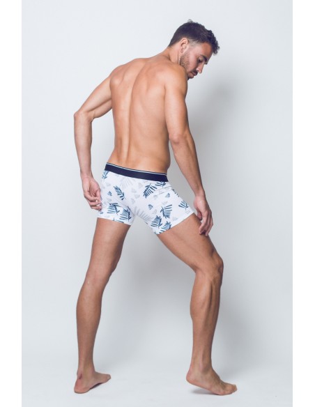 Fern Print Trunks