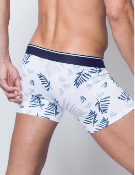 Fern Print Trunks