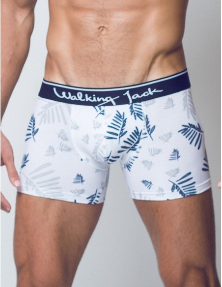 Walking Jack Men's Underwear Fern Print Briefs 