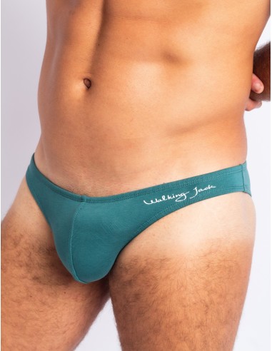 Micro Briefs - Teal
