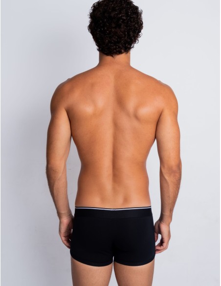 Raven Trunks